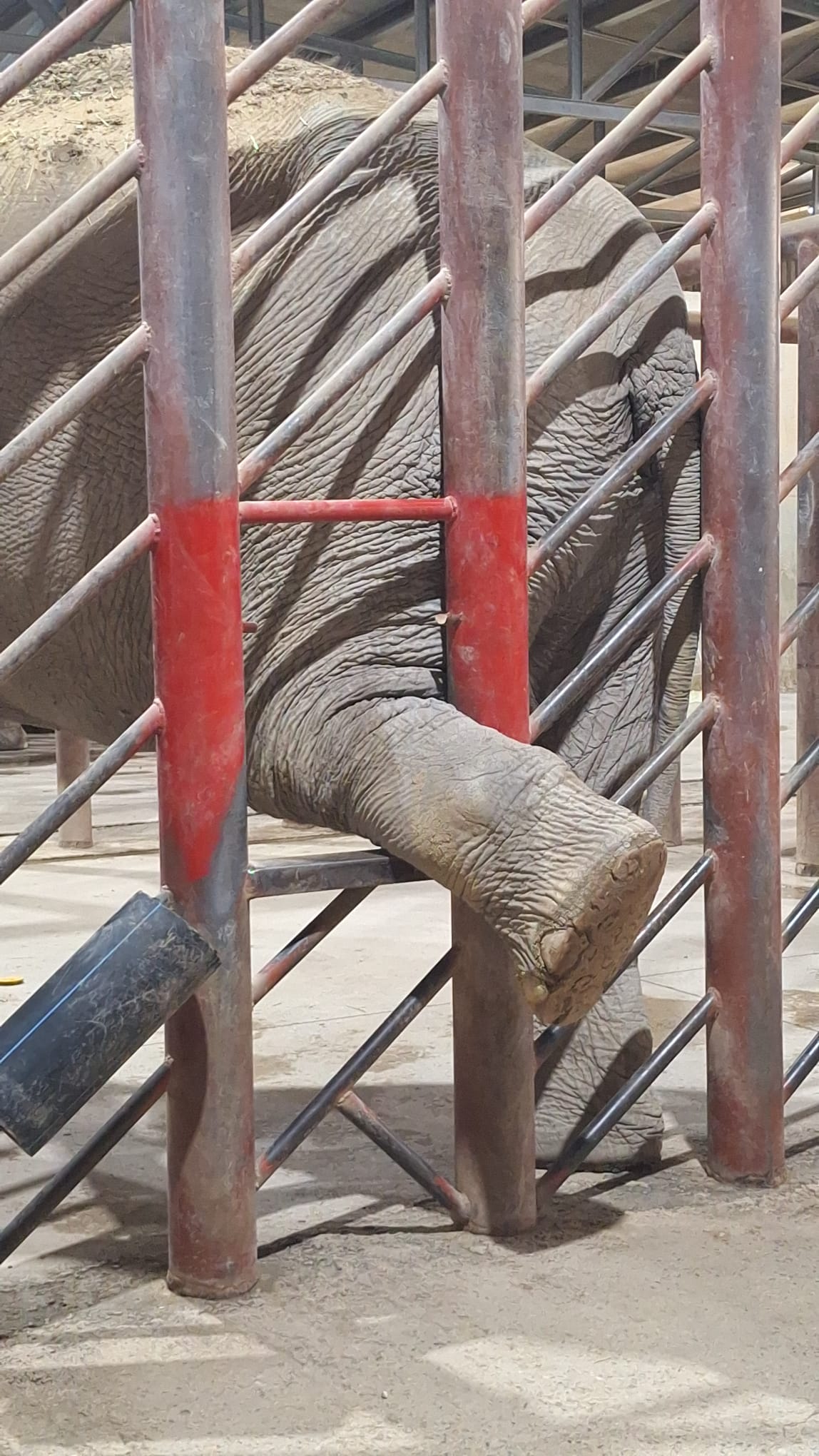 Terra Natura Benidorm Terra Natura Benidorm